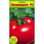 Томат Президент F1 - плоды крупные, ровные, красные и очень мясистые и вкусные.